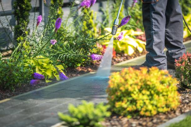 Reliable Quartzsite, AZ  Pressure Washing Services Solutions